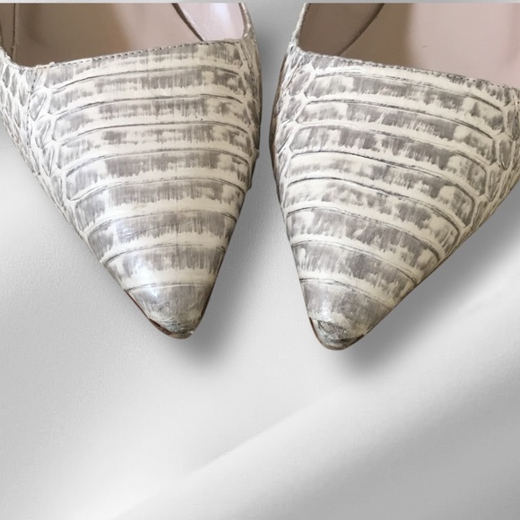 Manolo Blahnik Python Pointed Toe Pump - Picture 8 of 16